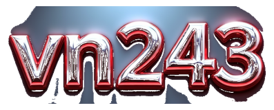 vn243 logo